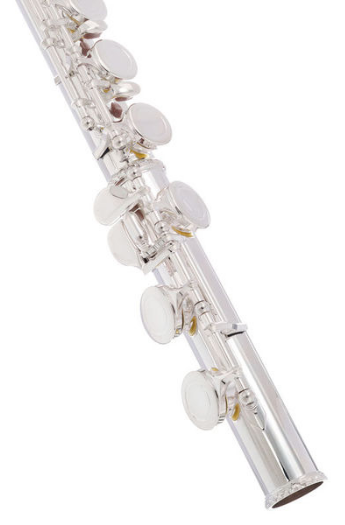 Startone SFL-55 Flute [7]
