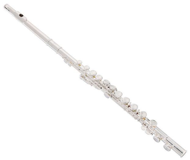 Startone SFL-55 Flute [4]