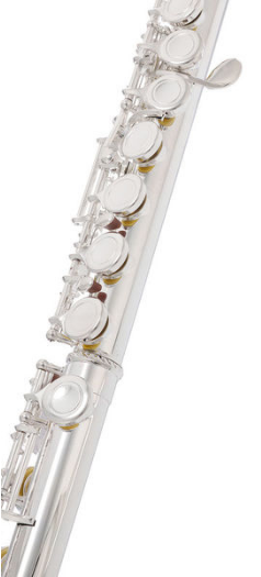 Startone SFL-55 Flute [6]