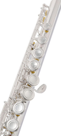 Startone SFL-55 Flute [5]