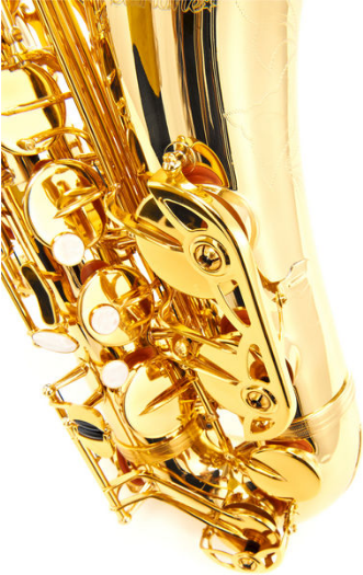 Startone STS-75 Tenor Sax [4]