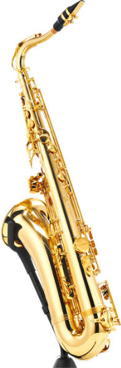 Startone STS-75 Tenor Sax [3]