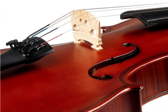 Startone Student I Violin Set 4/4 [7]