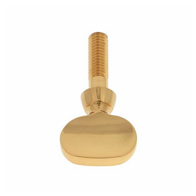 Surub Yamaha S- Neck Screw [2]