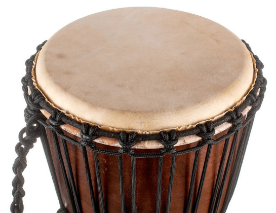 Thomann BN28 Djembe [4]