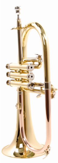 Thomann FH 600 Bb-Flugelhorn [4]