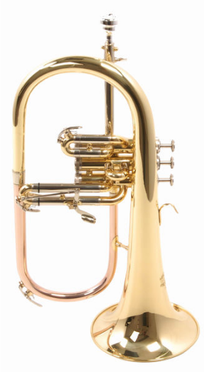 Thomann FH 600 Bb-Flugelhorn [9]