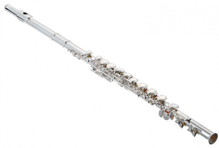 Thomann FL-1000 CE Flute [4]