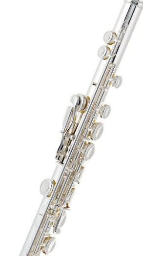 Thomann FL-1000 CE Flute [8]