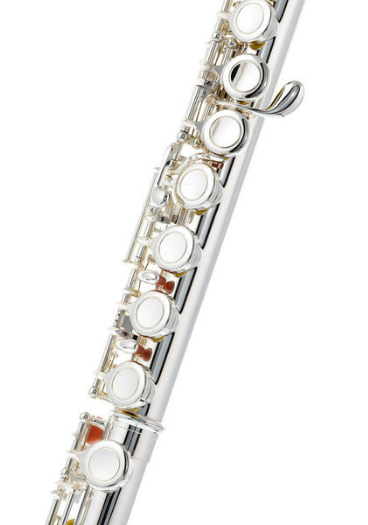 Thomann FL-1000 CE Flute [6]