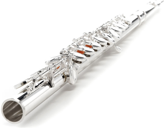 Thomann FL-200 Flute [4]