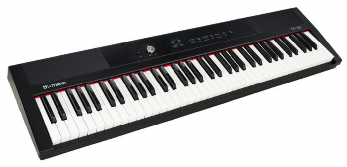 Thomann SP-120 [8]