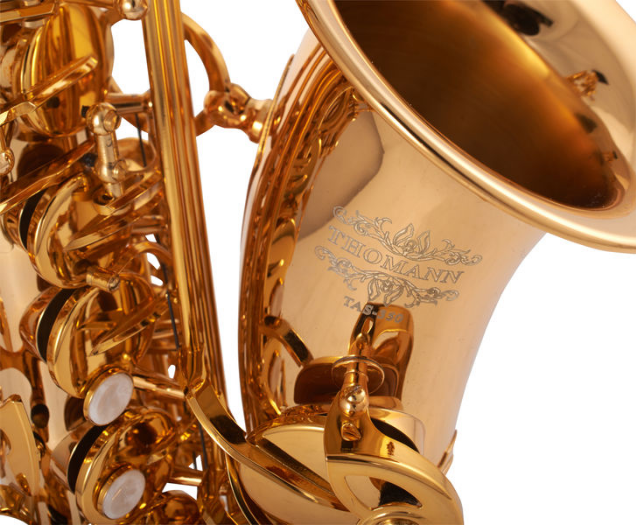 Thomann TAS-350 Alto Sax [9]