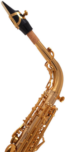 Thomann TAS-350 Alto Sax [5]
