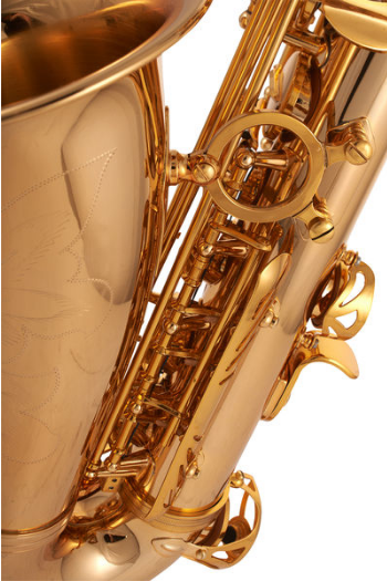 Thomann TAS-350 Alto Sax [12]