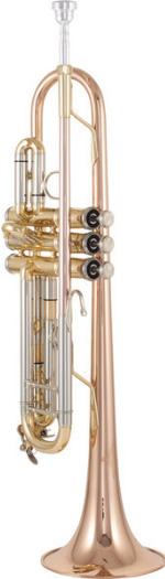 Thomann TR 500 GL Bb-Trumpet [2]