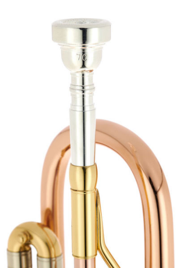 Thomann TR-600 GM C-Trumpet [6]