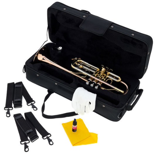 Thomann TR-600 GM C-Trumpet [11]