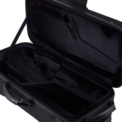 Thomann Trekking Case Altosax W [11]