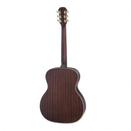 Aria 101 DP Delta Player [1]