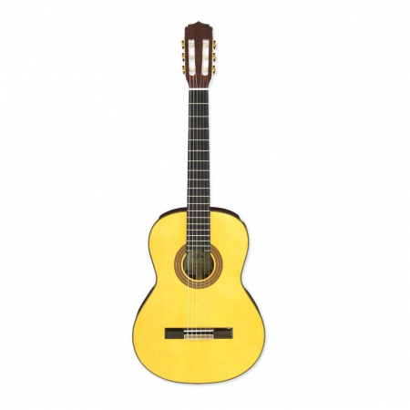 Chitare - Aria A-30S Natural