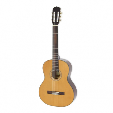 Chitare - Aria AK-25 Natural