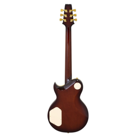 Aria PE-F80 Gold Top [1]