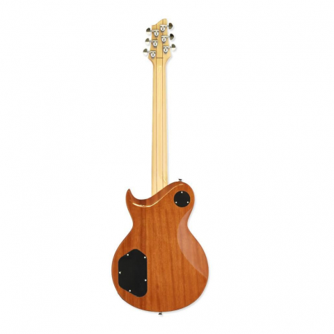 Aria Pro II PE-480 BS Brown Sunburst [1]