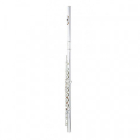 Azumi AZ-Z1E Flute [1]