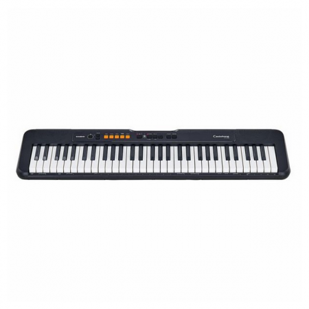 Casio CT-S100 [1]
