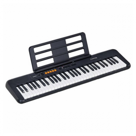 Casio CT-S100 [2]