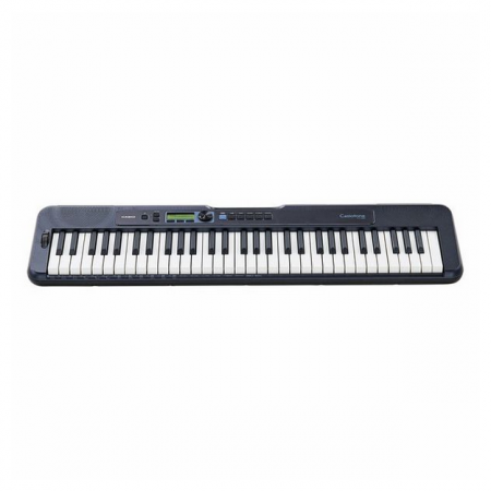 Casio CT-S300 [1]
