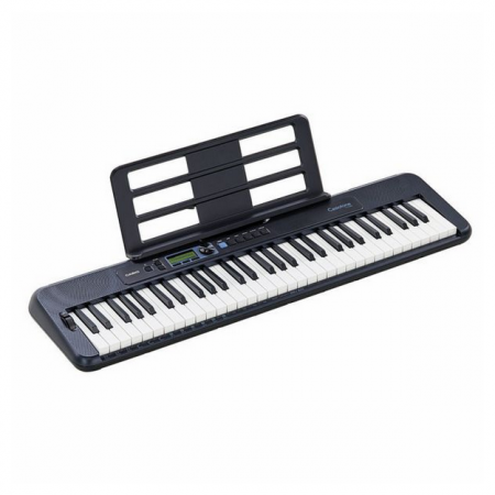 Casio CT-S300 [2]