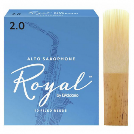 Ancii pt. Saxofon Alto - DAddario Woodwinds Royal Alto Saxophone 2.0