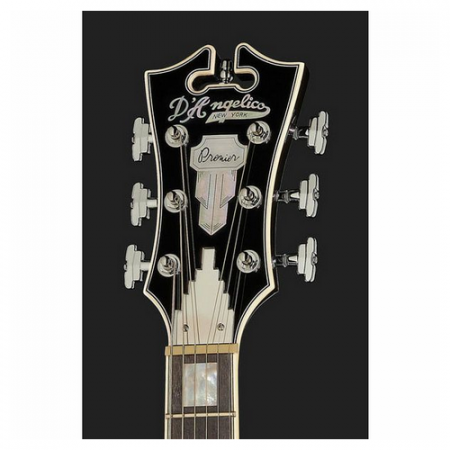 DAngelico Premier DC Black Flake [5]