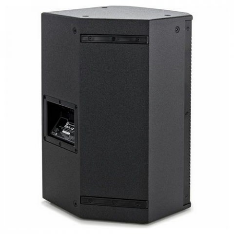 ELECTRO-VOICE EKX 12 [2]
