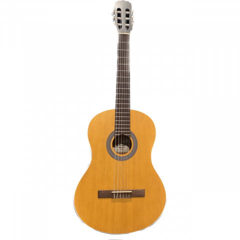 Chitare - Fiesta FST-C65 AN