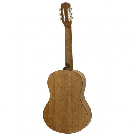 Fiesta FST-C65 Natural [1]