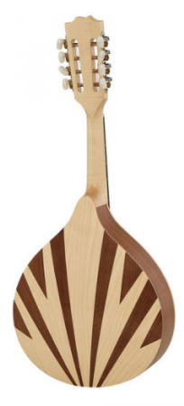Gewa Pro Natura Mandolin [1]