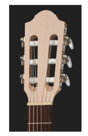 Gewa Pro Natura Silver 3/4 Maple [5]