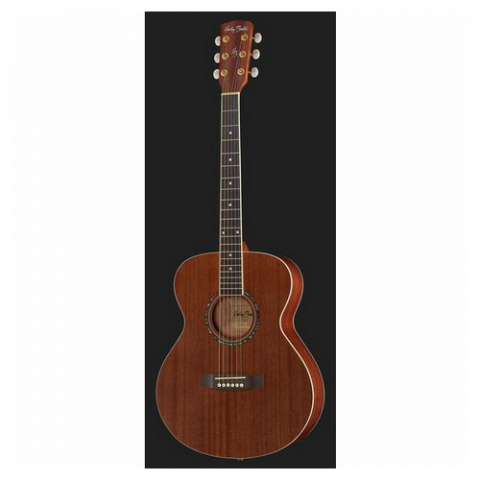 Harley Benton Blues Guitar Set 2 [1]