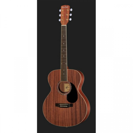 Harley Benton CG-45 NS [1]