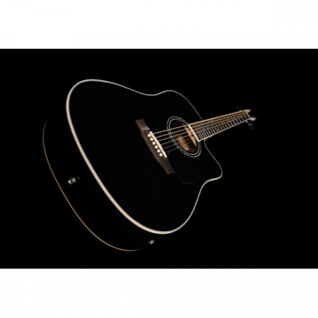 Harley Benton D-120CE BK [9]