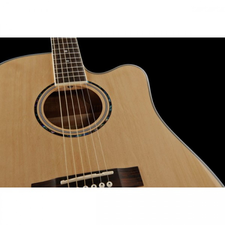 Harley Benton D-120CE NT [9]