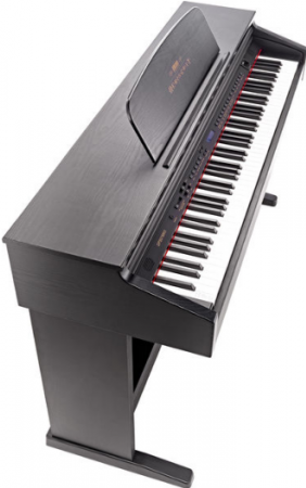 Hemingway DP-501 MKII AT [7]