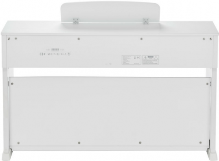 Hemingway DP-501 MKII WH [3]