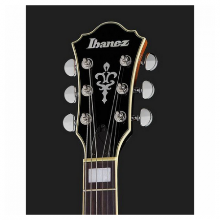 Ibanez AS73-TBC [5]