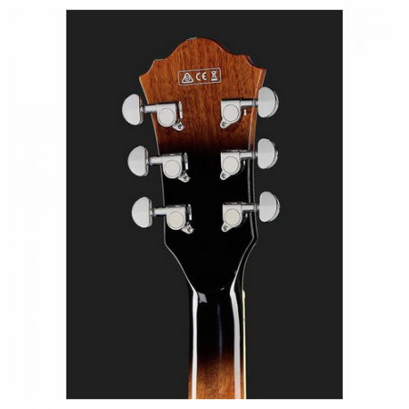 Ibanez AS73-TBC [6]