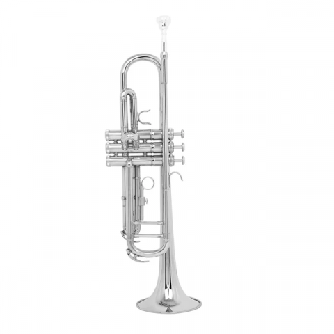Trompete Si b - Parrot 6416S Trompeta Sib, Silver