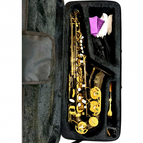 Parrot 6430BN Saxofon Alto Mib, Negru, clape aurii [1]